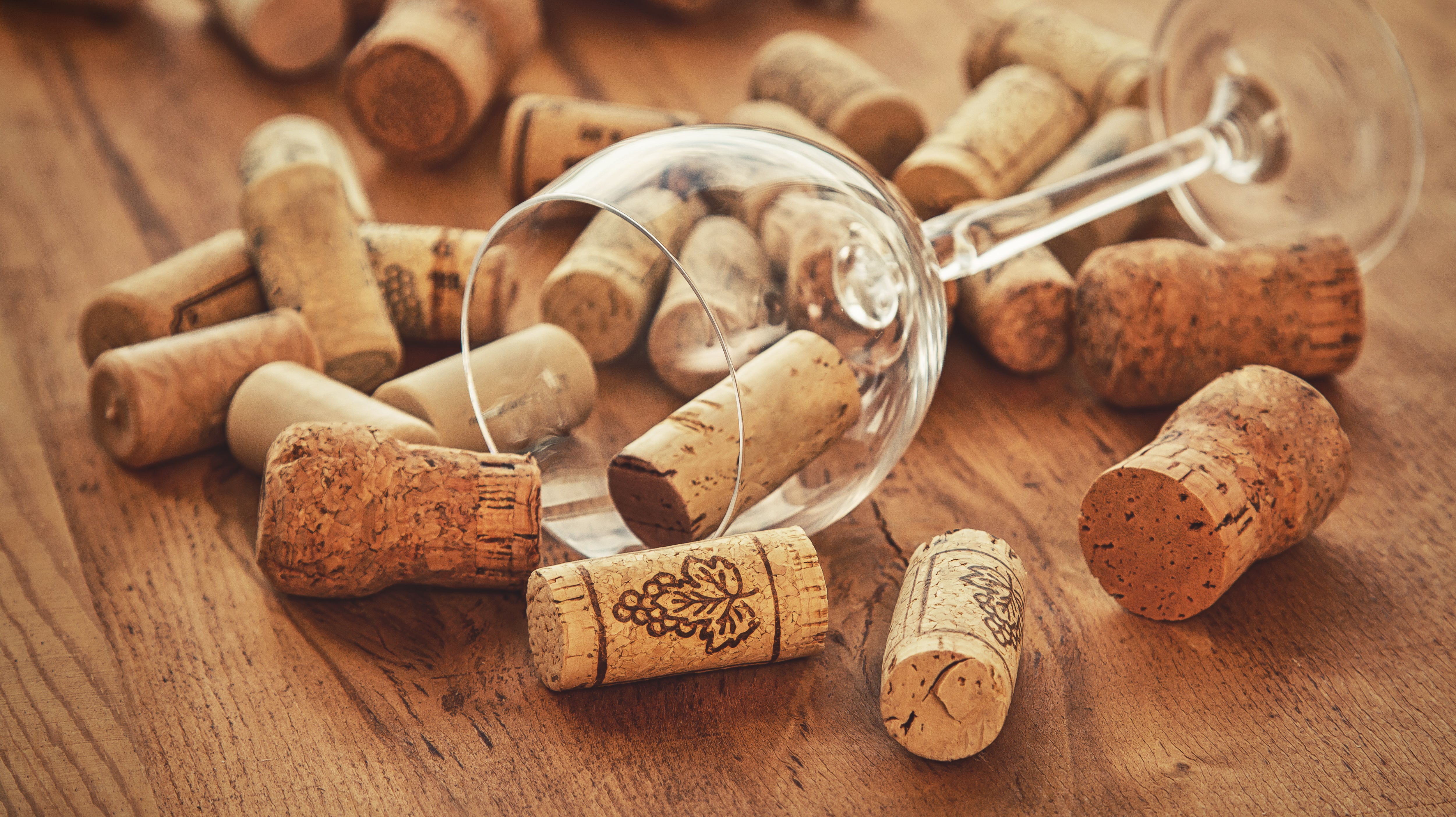 Pourquoi les bouchons de vin sont-ils en liège ? La réponse va au-delà de la bouteille