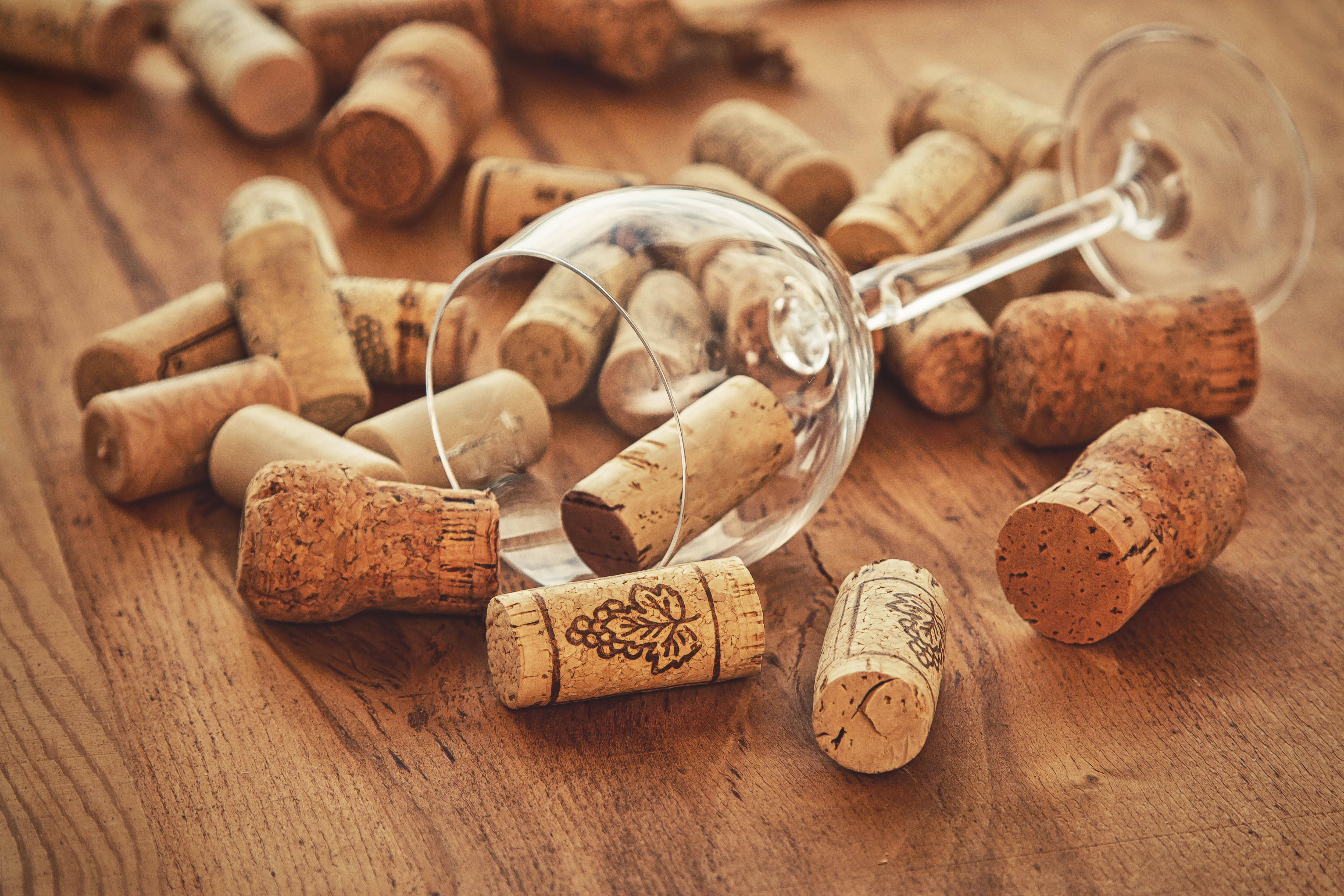 Pourquoi les bouchons de vin sont-ils en liège ? La réponse va au-delà de la bouteille